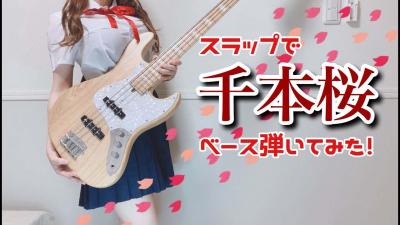 元JKが「千本桜」をベースで弾いてみた　（Bass cover）